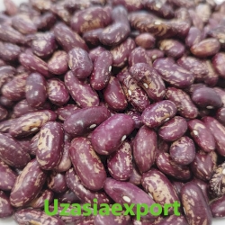 Natural large-high quality-royal red kidney beans
